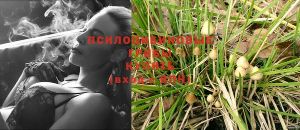 эйфоретик Горно-Алтайск