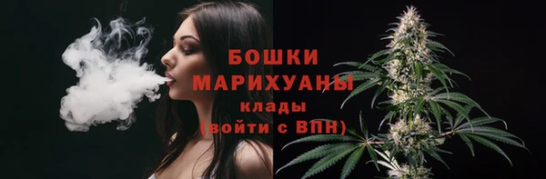 бошки Горнозаводск