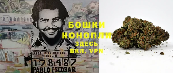 бошки Горнозаводск