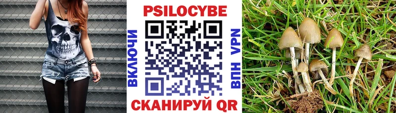 Галлюциногенные грибы MAGIC MUSHROOMS  сайты даркнета официальный сайт  Шагонар 